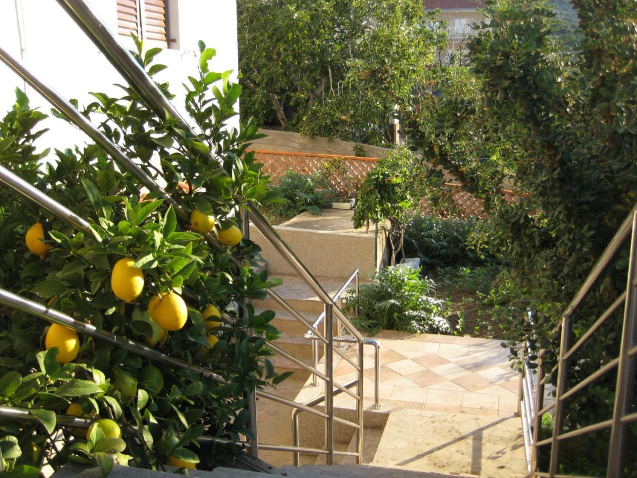 Apartments Martina Primosten Bagian luar foto